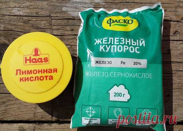 Железный купорос: Обработка сада от болезней и вредителей