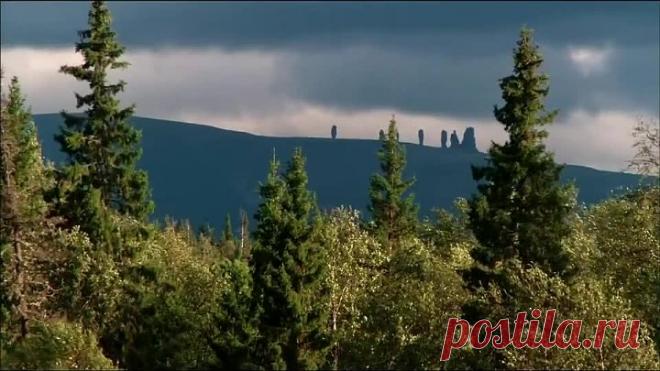 Галина Хомчик - Лучина