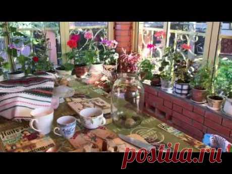Квас из чёрного хлеба/ вкусный и простой рецепт - YouTube