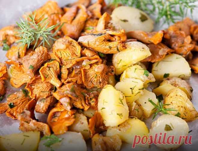 Жареные лисички с картошкой