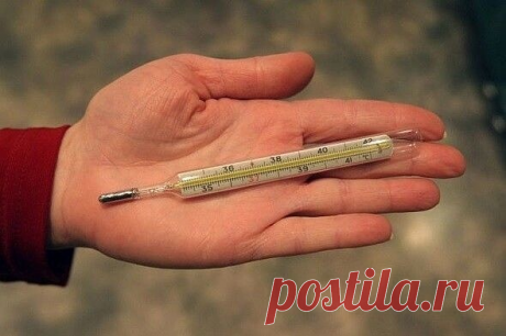 Чтобы проверить свою щитовидку, нужен только градусник

Мало кто об этом знает, но еще 50 лет назад ученый Брода Отто Барнс 
обнаружил, что температура тела — отличный индикатор того, как работает
 ваша щитовидная железа.

Есть только один нюанс: температуру тела нужно мерять сразу после 
пробуждения, еще в кровати.

Барнс заметил, что ненормальная температура по утрам — первый признак 
воспалительного процесса в щитовидной железе. А сейчас все знают, что если этот орган н...