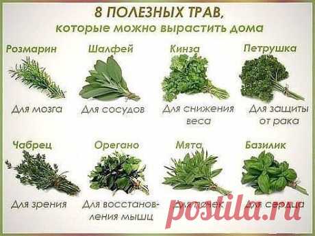 (1) Одноклассники
