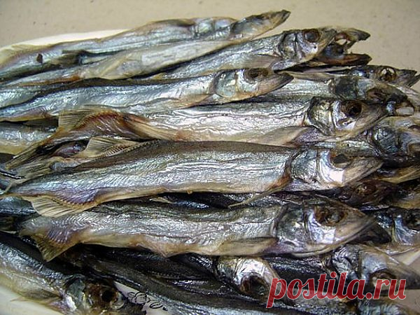 Дары  моря.