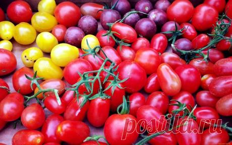 Садоводу в копилочку! | OK.RU