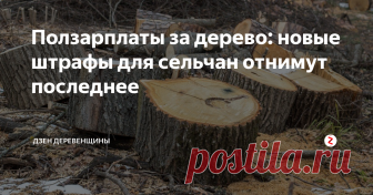 Ползарплаты за дерево: новые штрафы для сельчан отнимут последнее В сентябре мы решили обустроить беседку и виноградник, но нам мешал грецкий орех. Дерево практически не плодоносило и находилось в состоянии, близком к аварийному, поэтому решено было свалить его для пользы дела. Распиленный на части орех пригласили вывезти работников ЖКХ. Предположительно из-за болтливости последних и произошел инцидент, стоивший нам 8000 рублей.
В своем доме не хозяин
На следующ
