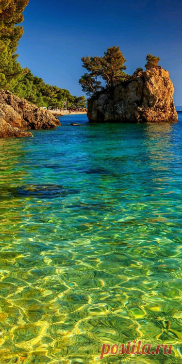 HAVE A NICE DAY