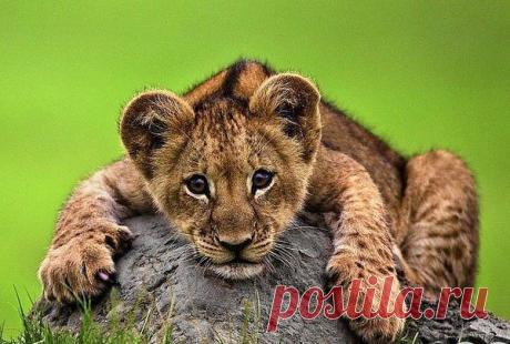 Интересные новости