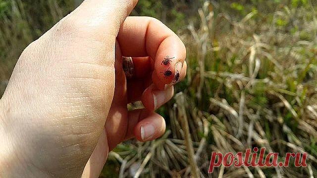 скоро тепло.....