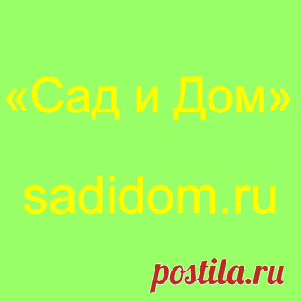 СЕМЕНА КУПИТЬ в магазине МОСКВЫ 