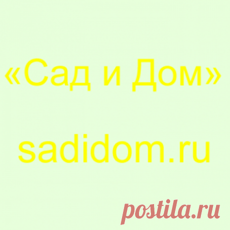 СЕМЕНА КУПИТЬ в магазине МОСКВЫ "У-Дача" , sadidom.ru