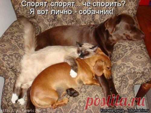 Мой Мир@Mail.Ru