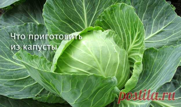 Что #приготовить #из_капусты. Много рецептов
- Как приготовить гениально простой #салат из капусты с минеральной водой
- Подозрительно вкусная капуста
- #Окономияки — — японское блюдо с капустой
- Приготовим из капусты веганские #оладьи
- Как приготовить #суп из капусты
- #Голубцы — рецепт фаршированной капусты из Венгрии
- Карамелизированная капуста