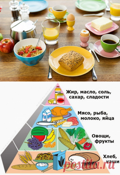 В ЧЕМ РАЗНИЦА МЕЖДУ ДИЕТОЙ И ПРАВИЛЬНЫМ ПИТАНИЕМ?