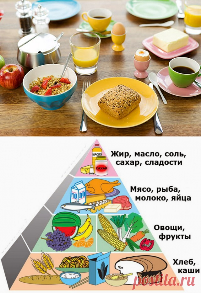 В ЧЕМ РАЗНИЦА МЕЖДУ ДИЕТОЙ И ПРАВИЛЬНЫМ ПИТАНИЕМ?