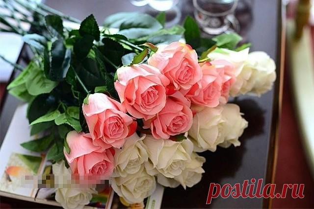 Ангел на рассвете тронул за плечо : 