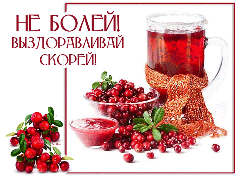 gifka-vyzdoravlivay_2.gif (760×561)