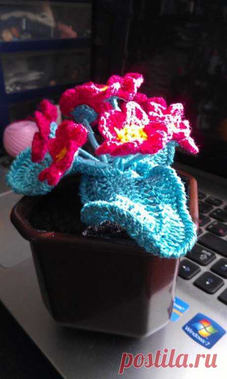 Виктория Давыдова