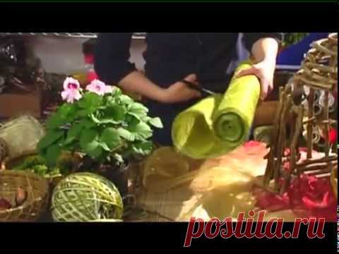 Императрица комнатного цветоводства - пеларгония королевская. Она просто изумительная!
