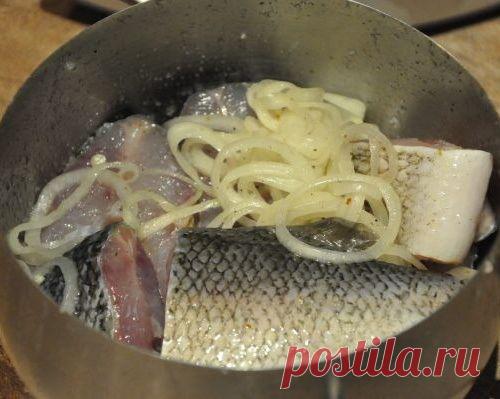 Скоросолка - обед туриста