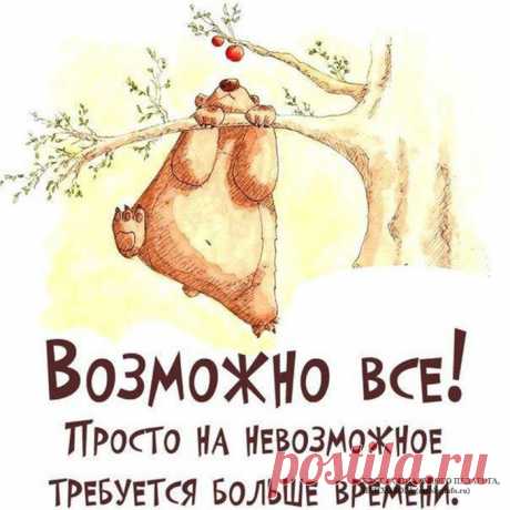 Лечение народными средствами - Бабушкины советы - MSForum - РСФорум