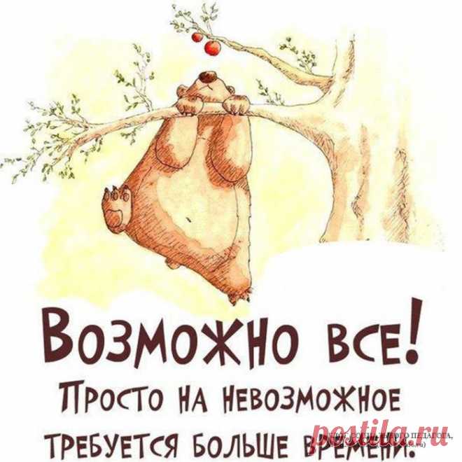 Лечение народными средствами - Бабушкины советы - MSForum - РСФорум