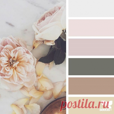 today's inspiration image for { flora tones } is by @natashakolenko ... thank you, Natasha, for another breathtaking #SeedsColor image share!