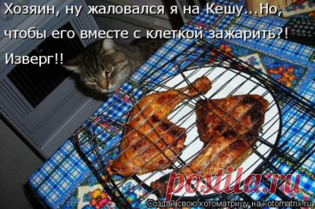 Приколы про животных, смешные животные