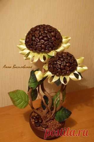 Кофейные подсолнухи