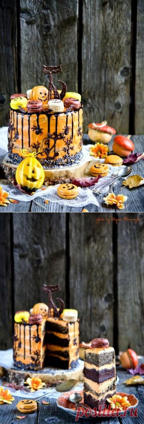 Шоколадно-маково-тыквенный торт "Колдунья" - love to bake!
