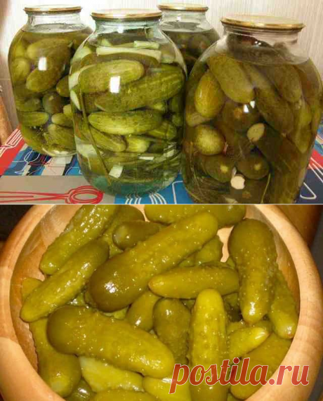 Солёные огурцы на зиму: Рецепты засолки на зиму вкусных огурчиков