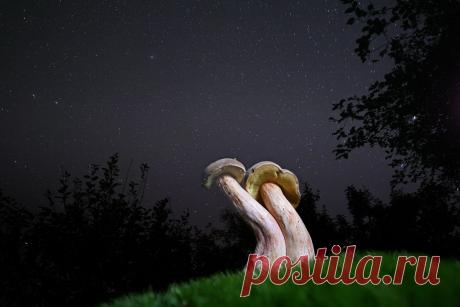 35PHOTO - Вадим Трунов - Вдвоём под звёздами