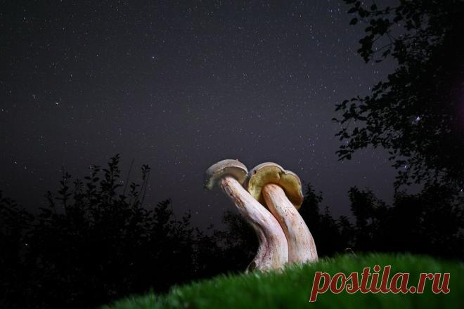 35PHOTO - Вадим Трунов - Вдвоём под звёздами