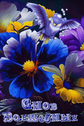 Спокойной ночи