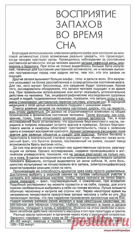 восприятие запахов во сне