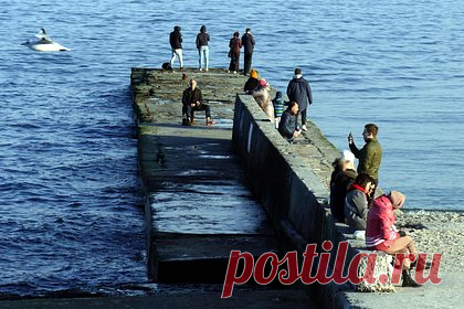 Одесситов предупредили о дрейфующих морских минах. Шторм, разворачивающийся в Черном море, может привести к срыву морских мин с якорей и их дрейфу к берегам Одессы, предупредили власти города жителей. 26 января в Одессе мужчина запустил фейерверк во время воздушной тревоги, вскоре стало известно о его задержании украинской полицией.