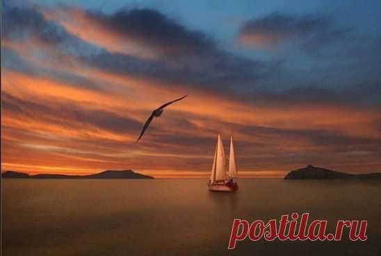 Перемены происходят лишь тогда, когда мы идем наперекор тому, к чему привыкли.
Пауло Коэльо