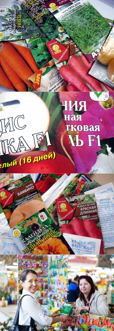 10 ошибок при выборе семян | Огород без хлопот
