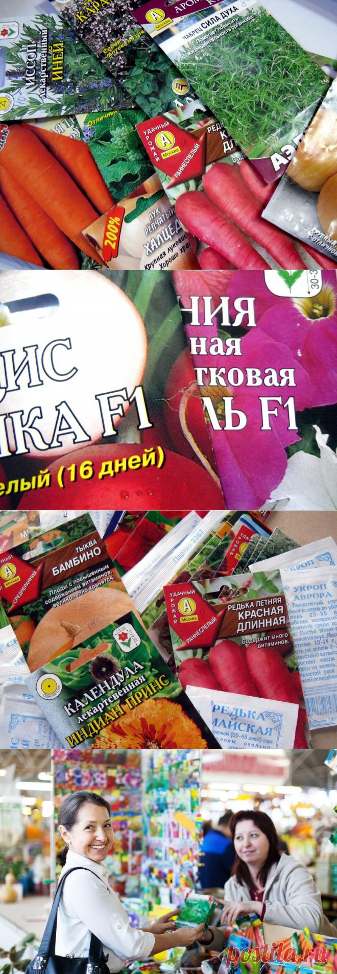 10 ошибок при выборе семян | Огород без хлопот