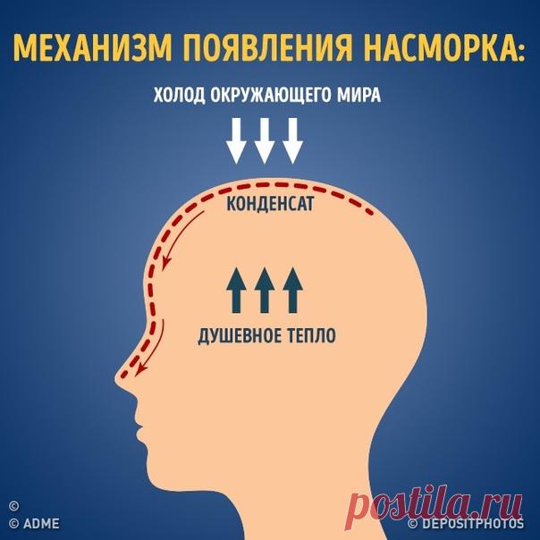 30 открыток о том, как все есть на самом деле: goo.gl/C9NoSt: