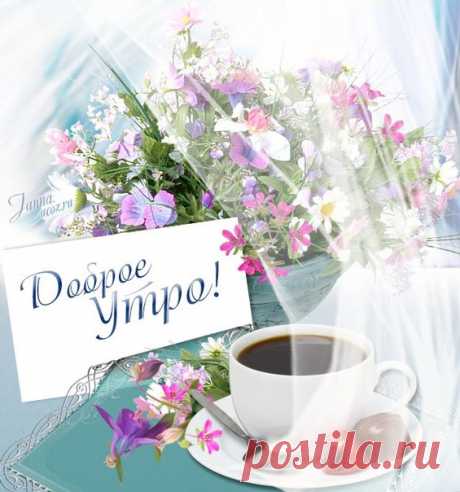Доброго весеннего утра. Отличного дня и настроения!😊