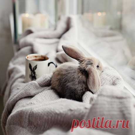 Новый год - это новые впечатления, эмоции и захватывающие сюжеты! Делимся с вами небольшой подборкой сериалов, которые увидят свет в 2018 году: 1. Игра Престолов (финальный сезон) 2. Пожизненный приговор 3. Американская история преступлений: Убийство Джанни Версаче 4. Детство Шелдона (новый сезон) 5. Звездные войны: Другой мир 6. Мистер Мерседес #HMMood