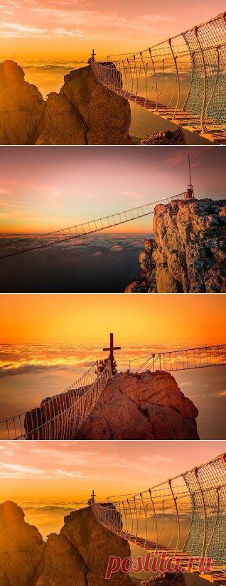 (1) Одноклассники