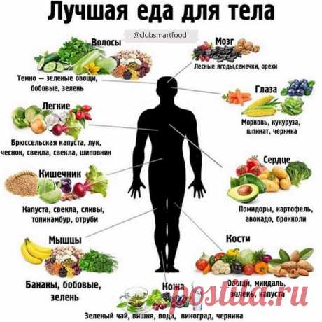 Здоровье. Самоисцеление.