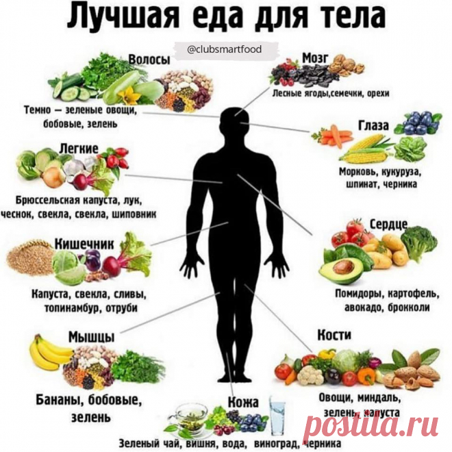 Здоровье. Самоисцеление.