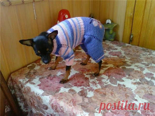Картинка