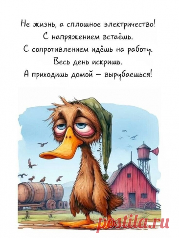 Выпуск №6418 - выпуск анекдотов сайта вокруг смеха