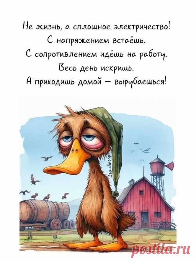 Выпуск №6418 - выпуск анекдотов сайта вокруг смеха