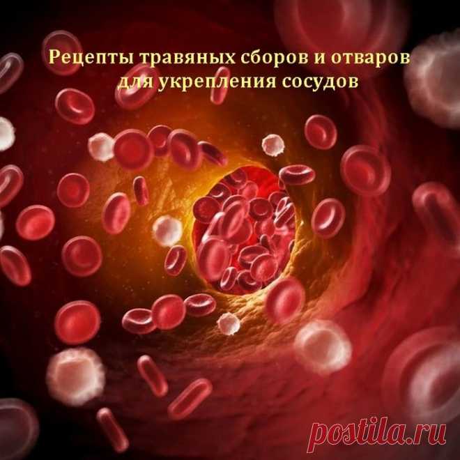 Рецепты травяных сборов и отваров для укрепления сосудов