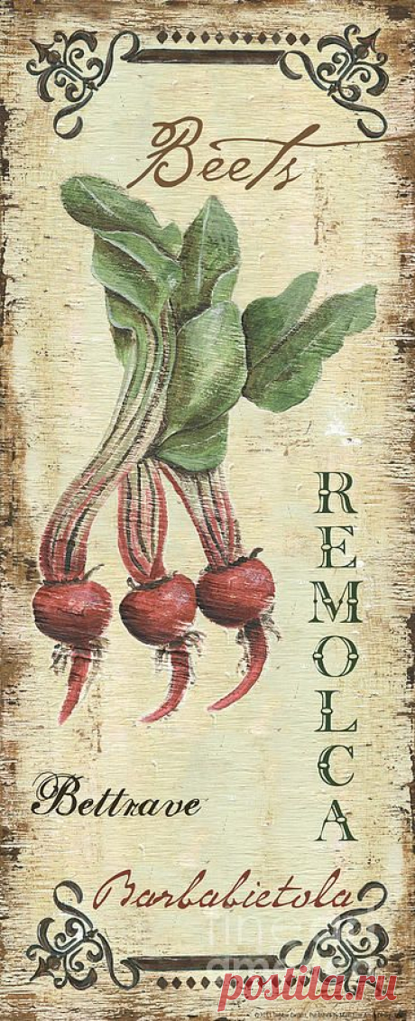 Vintage Vegetables 3 by Debbie DeWitt