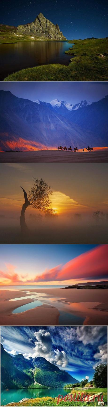 Удивительный мир! Фотоподборка.